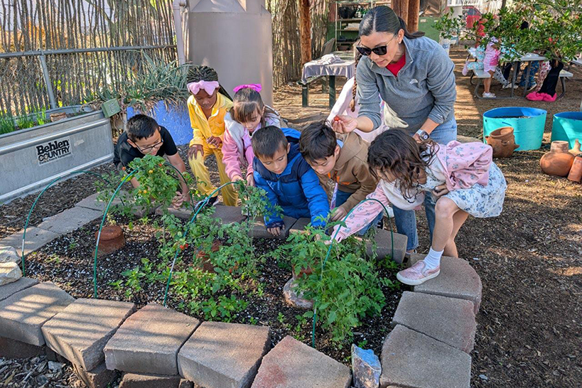 Students pick greens from the garden