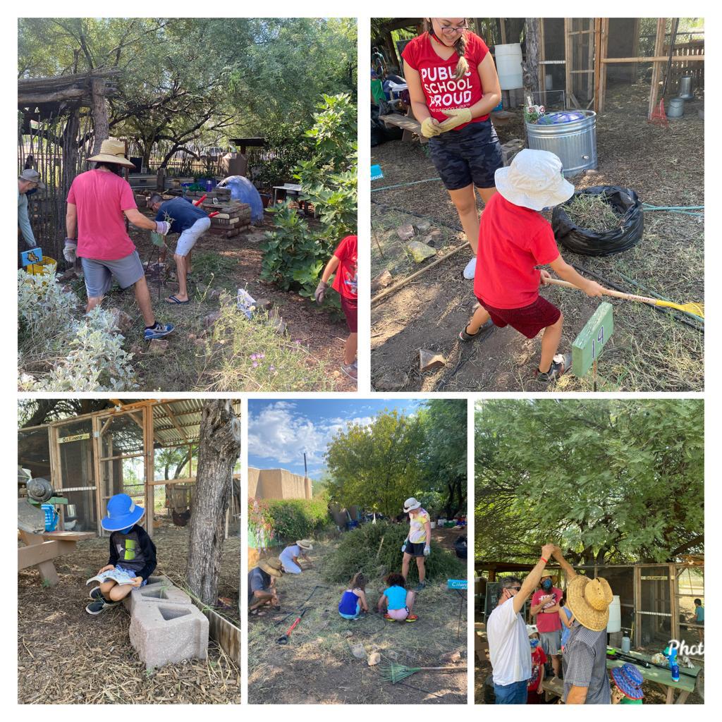 Several photos of Davis students working under the supervision of teachers in a lush garden near the school.